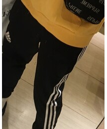 adidas | パンツ
