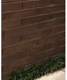 OLD NAVY | その他パンツ