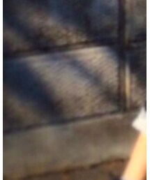 ScoLar Party | Tシャツ/カットソー