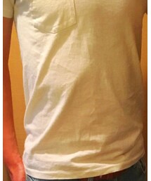 Velva Sheen | Tシャツ/カットソー