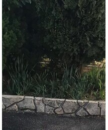 URBAN RESEARCH | ジャケット/アウター