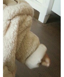 UNIQLO | ブルゾン