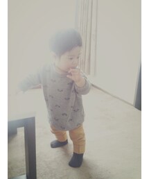 ★スタイなし | その他