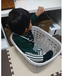 最近のブーム♪ | その他