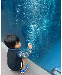 ブクブク… | その他