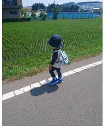 田んぼ | その他