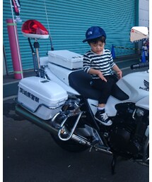 パトカー🚨🚓🚨🚓🚨 | その他