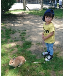 うさぎ♡ | その他