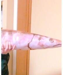 ビィレバン | その他雑貨
