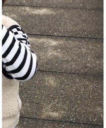 petit main | スウェット