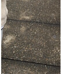 petit main | その他パンツ