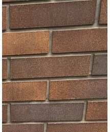 petit main | Tシャツ/カットソー