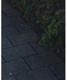 petit main | デニムパンツ