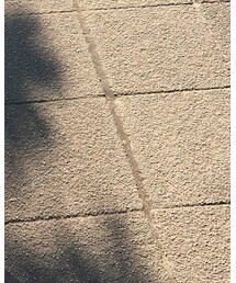 petit main | ソックス/靴下