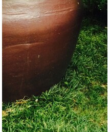 SOLMATE SOCKS | ソックス/靴下