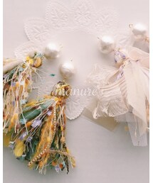 manure | イヤリング