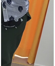 FRAPBOIS ZOO | パスケース