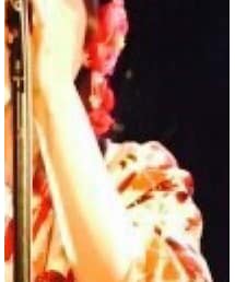 index | ヘアアクセサリー