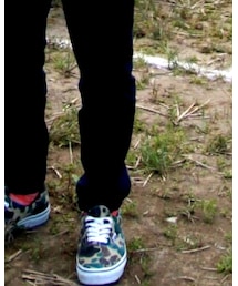 VANS | スニーカー