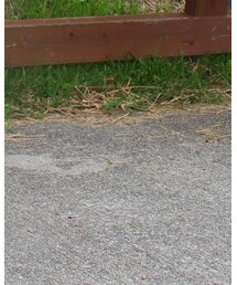 Rivieras | モカシン/デッキシューズ