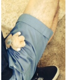 Gramicci | チノパンツ