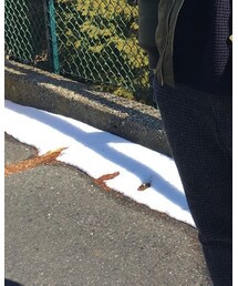 sacai MEN'S | その他パンツ