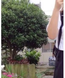 Champion | Tシャツ/カットソー