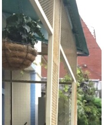 VISSLA | キャップ