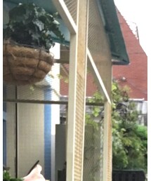 NO EXCESS | Tシャツ/カットソー