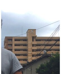 SUNDANCE | Tシャツ/カットソー