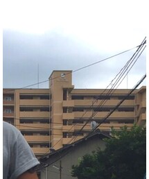 VISSLA | その他パンツ