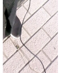 adidas | スニーカー