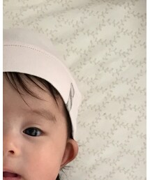 BURBERRY | ニットキャップ/ビーニー