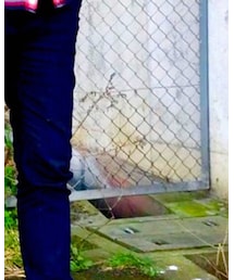 寒い、寒すぎるwwww | スーツパンツ