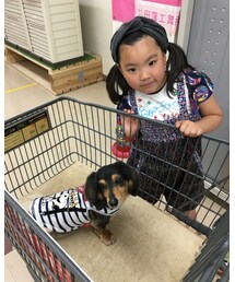 可愛いぃチョコちゃん🐶 | その他