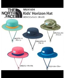 THE NORTH FACE | これの仲間😁(ハット)