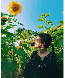 ひまわり畑🌻 | その他