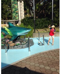 no brand | 水族館(その他)