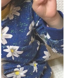 BRANSHES | トップス