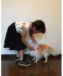 よしよしよし | その他