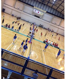 バレーボール | その他