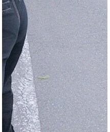 stradivarius | パンツ