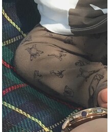 UNIQLO | パンツ