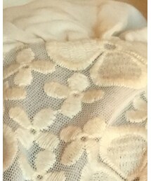 アプレレクール | ワンピース