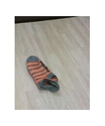 OSHKOSH | ソックス/靴下