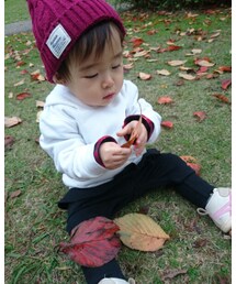 葉っぱが大きく見える | その他