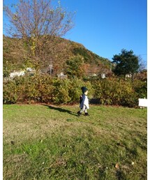 ちんまりトコトコ | その他