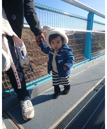 怯えるヒツジ | その他