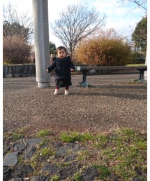 ちんまり | その他