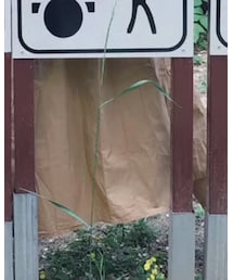 一半 | スカート